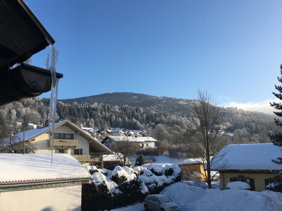 Pension Zum Rechen Bodenmais Luaran gambar